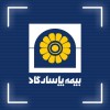 بیمه پاسارگاد، رتبه های تک رقمی، رشدهای دو رقمی